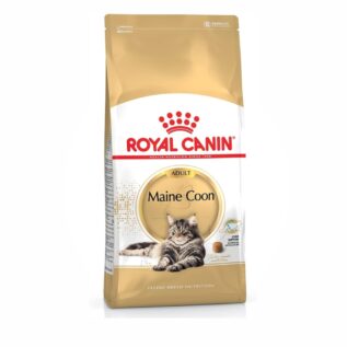 ROYAL CANIN FBN MAINE COON