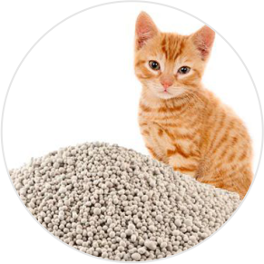 Litter & Accessories