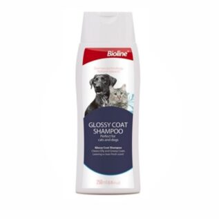BIOLINE - GLOSSY COAT SHAMPOO FOR DOGS AND CATS - 2424